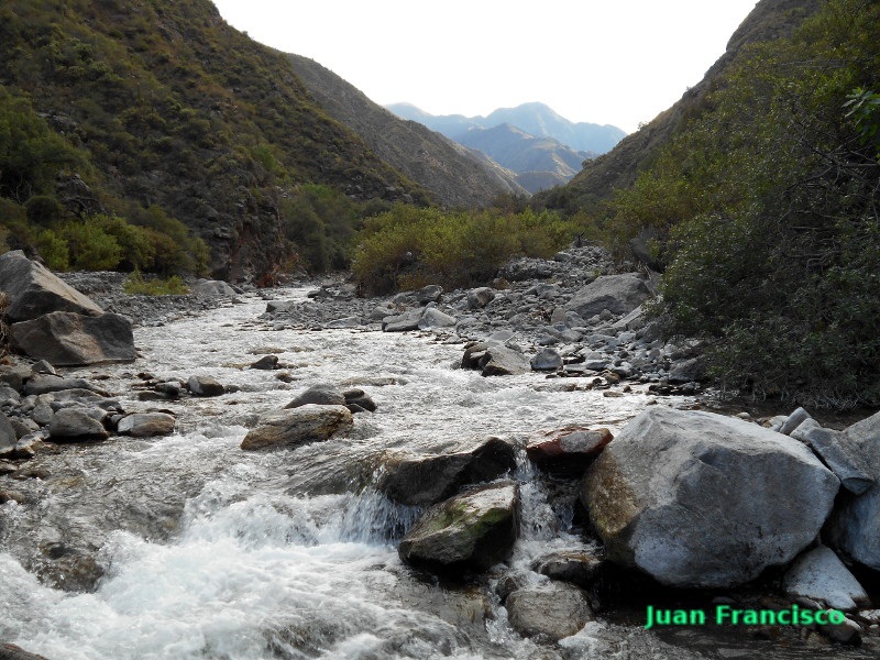 En la quebrada del río Chucuma, San Juan, esperaba no hallar agua pero ocurrió todo lo contrario: debió vadear decenas de veces. 