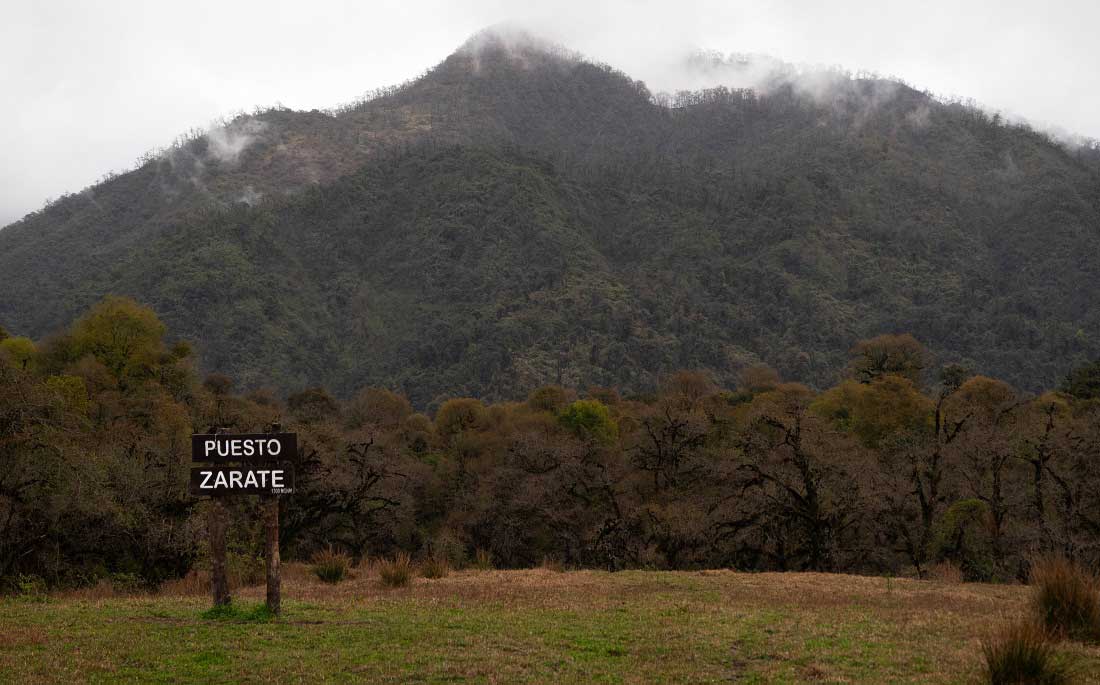 El puesto Zárate cuenta con una galería donde ubicar la carpa.