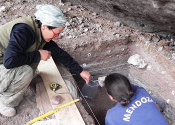Notables hallazgos en la cordillera mendocina.