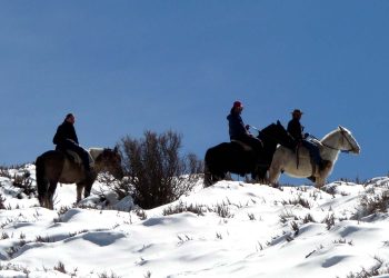 Cabalgatas para todos los gustos en la Cordillera