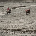 Arrieros - Documental - Copyright Terramar - terramarfilmes.com.br