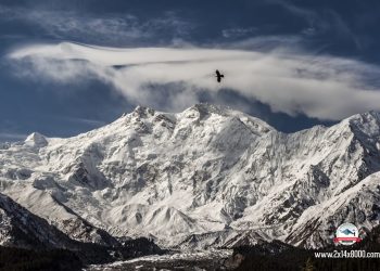 Nanga Parbat, 8.125 metros, novena cima más alta del mundo.