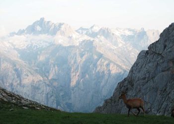 Picos de Europa: Majestuosidad, belleza y aventura
