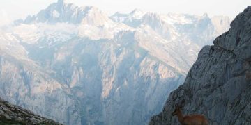 Picos de Europa: Majestuosidad, belleza y aventura