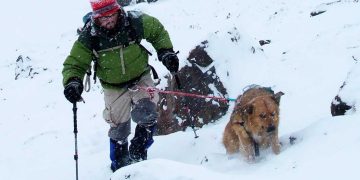Murió Oro, la más pura nobleza en las alturas de los Andes