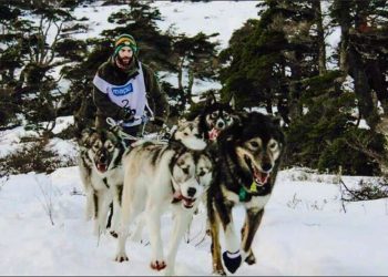 Miguel y sus perros: el sueño de la carrera más dura del mundo