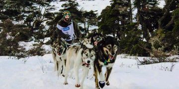 Miguel y sus perros: el sueño de la carrera más dura del mundo