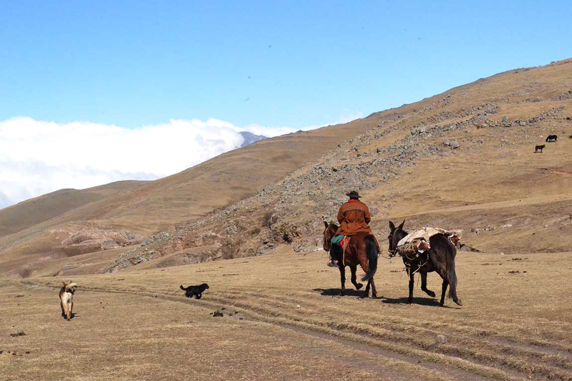 De Tafí del Valle a El Siambón, un atractivo trekking en la yunga tucumana.