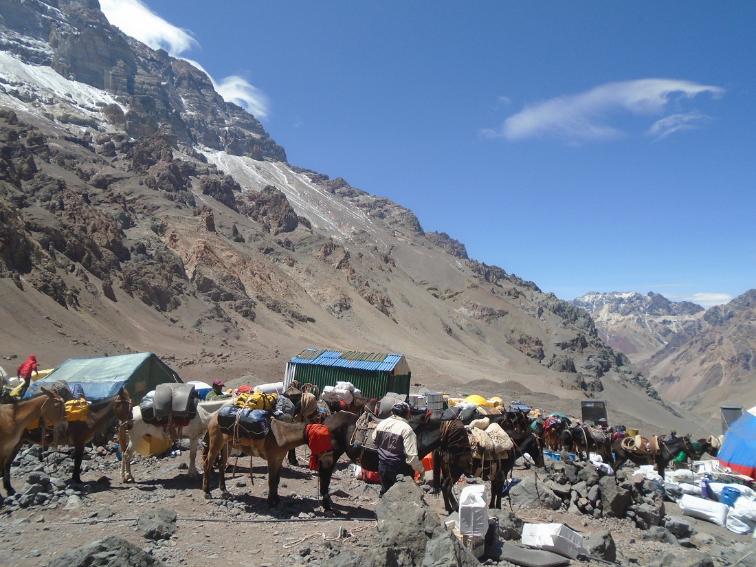 Esta temporada el cerro Aconcagua (6.962 msnm) retomará su actividad.