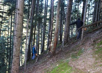 De setas por los Pirineos con Eduard Jornet y Fernando Garrido