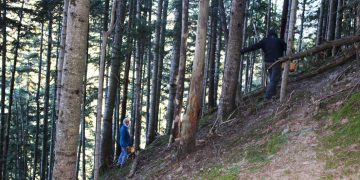 De setas por los Pirineos con Eduard Jornet y Fernando Garrido