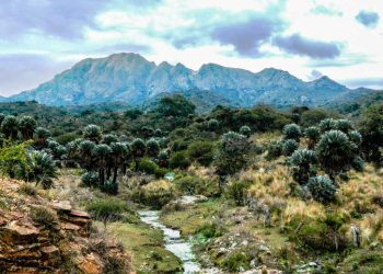 Los curiosos volcanes de Pocho entre palmeras