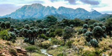 Los curiosos volcanes de Pocho entre palmeras