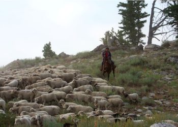 “Gaucho Americano” del chileno Nicolás Molina ganó el Oro en el Festival de Trento