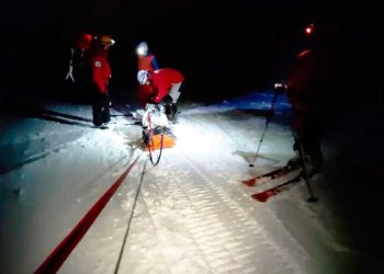 Un perro protagonizó un rescate en una avalancha en Ushuaia