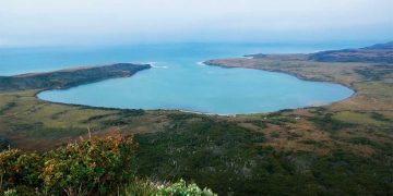 Protegen por Ley a la península Mitre, el extremo austral de los Andes