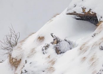 Premian bellísimas fotografías de parques nacionales de Italia y Francia