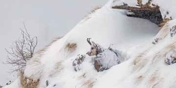 Premian bellísimas fotografías de parques nacionales de Italia y Francia