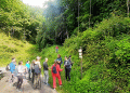 Belleza y diversidad en el Parque Nacional de los Dolomitas Belluneses