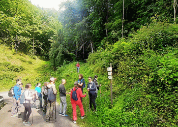 Belleza y diversidad en el Parque Nacional de los Dolomitas Belluneses