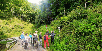 Belleza y diversidad en el Parque Nacional de los Dolomitas Belluneses