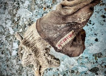 Un siglo después, hallan posibles restos de Irvine en Everest