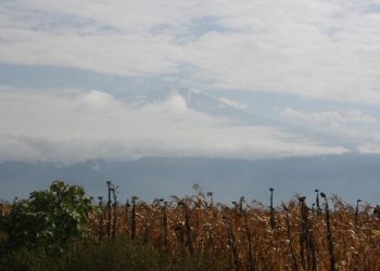 Kilimanjaro: la montaña que nos transformó