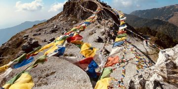 Política en las alturas