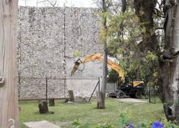 La palestra que cae, el derecho que se desmorona