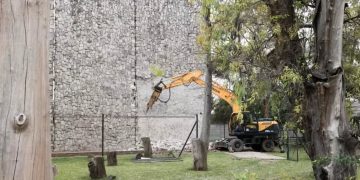 La palestra que cae, el derecho que se desmorona